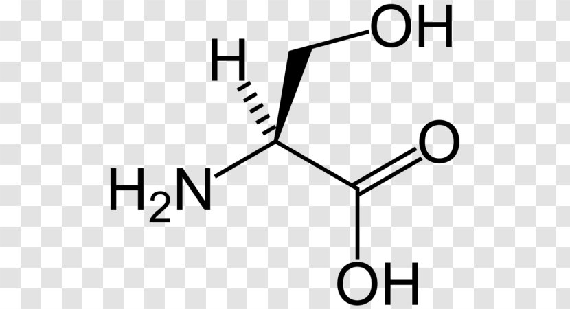 Serine Valine Proteinogenic Amino Acid Tyrosine - Monochrome Transparent PNG