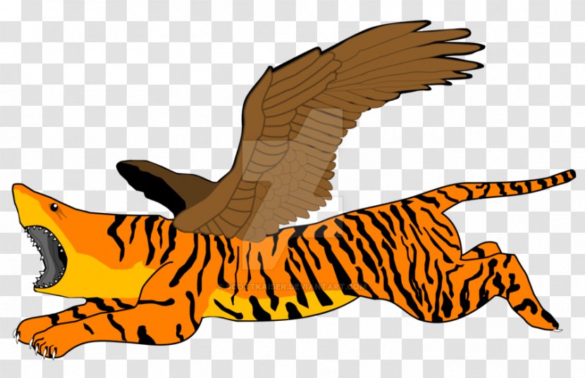Tiger Cat Bird Of Prey Feather - Organism Transparent PNG