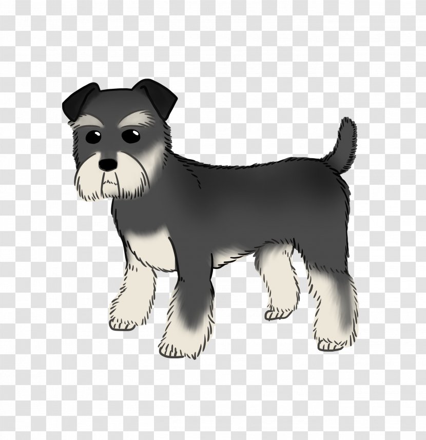 Miniature Schnauzer Puppy Dog Breed Companion Transparent PNG