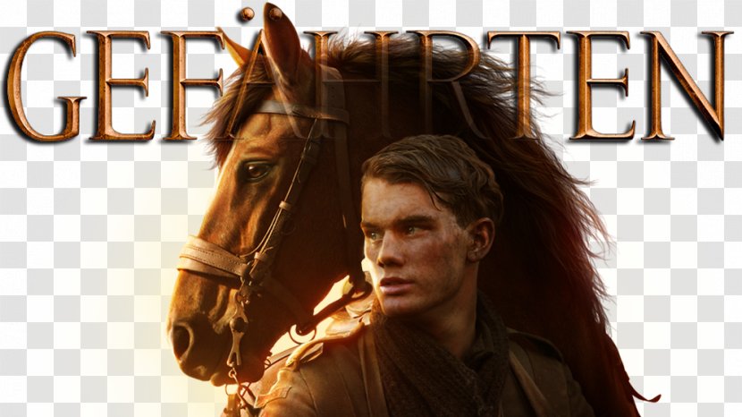 Steven Spielberg War Horse Albert Narracott Film - Flower Transparent PNG