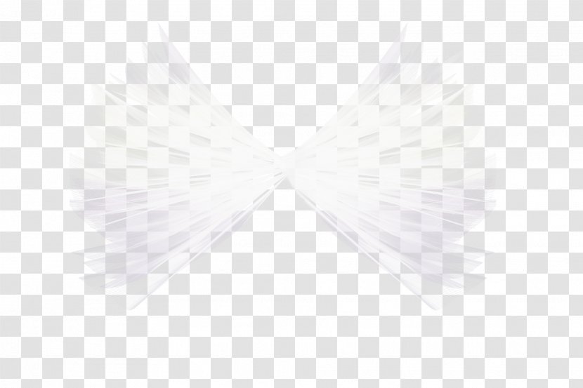 White Fur Neck - Wings Love Transparent PNG