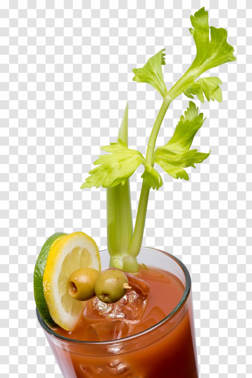 Bloody Mary Cocktail Garnish Mai Tai Rum And Coke - Non Alcoholic Beverage - Tequila Transparent PNG