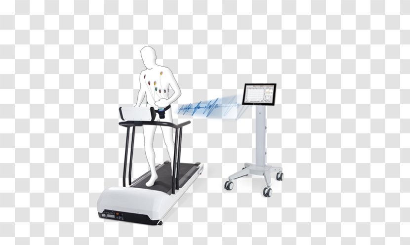 Cardiac Stress Test Electrocardiography Cardiology Cardiovascular Diagnosis: The Initial Examination Medicine - Cardiopulmonary Rehabilitation - Ekg Transparent PNG