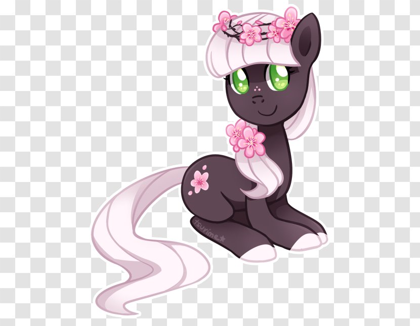 Pony Cat Cherry Blossom Princess Cadance Horse Transparent PNG