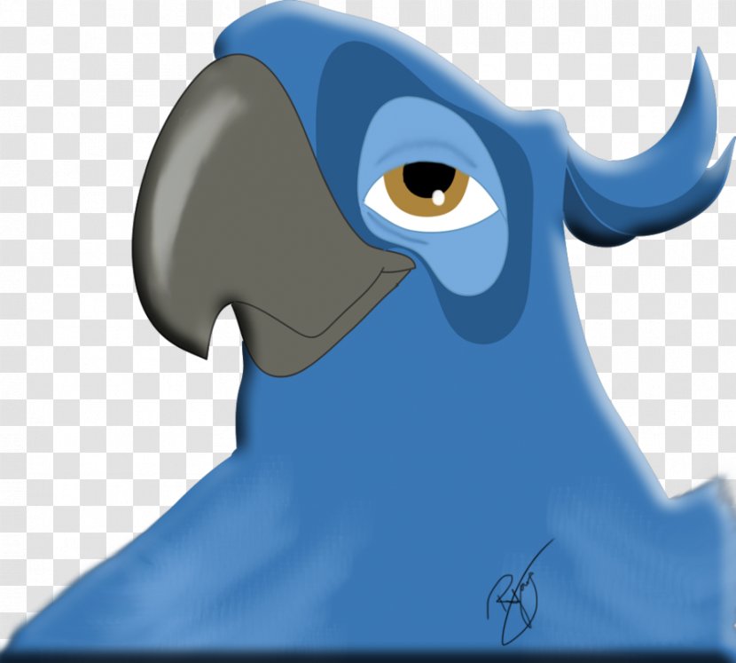 Beak Flightless Bird Marine Mammal - Cartoon Transparent PNG