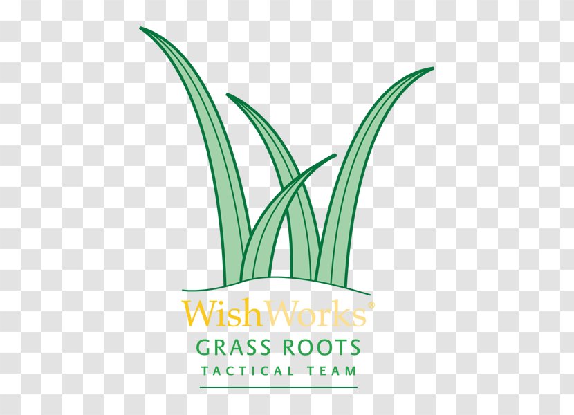 Leaf Logo Grasses Plant Stem Font - Grass Roots Transparent PNG