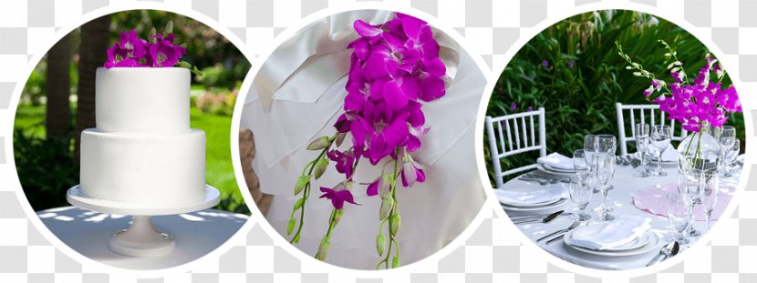 Cut Flowers Floristry Wedding - Plant - All-inclusive Resort Transparent PNG