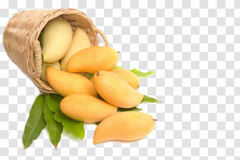 Juice Vesicles India Mango Alphonso Transparent PNG