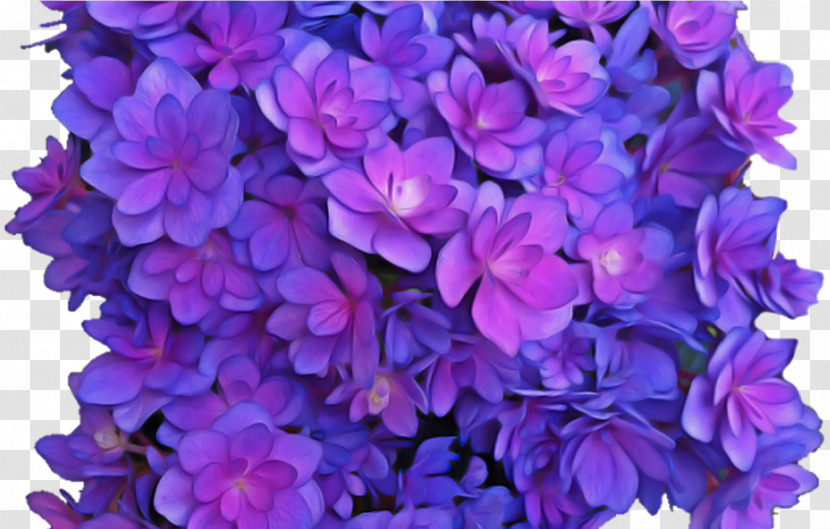Flower Violet Wreath Blue Purple Transparent PNG