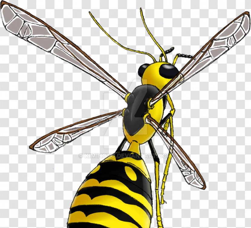 Insect Honey Bee Hornet Wasp Transparent PNG