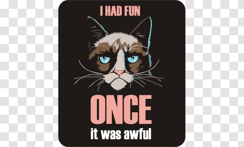 Whiskers Cat Coque Huawei P10 Grumpy I Had Fun Once Samsung Galaxy J5 (2016) - Carnivoran Transparent PNG