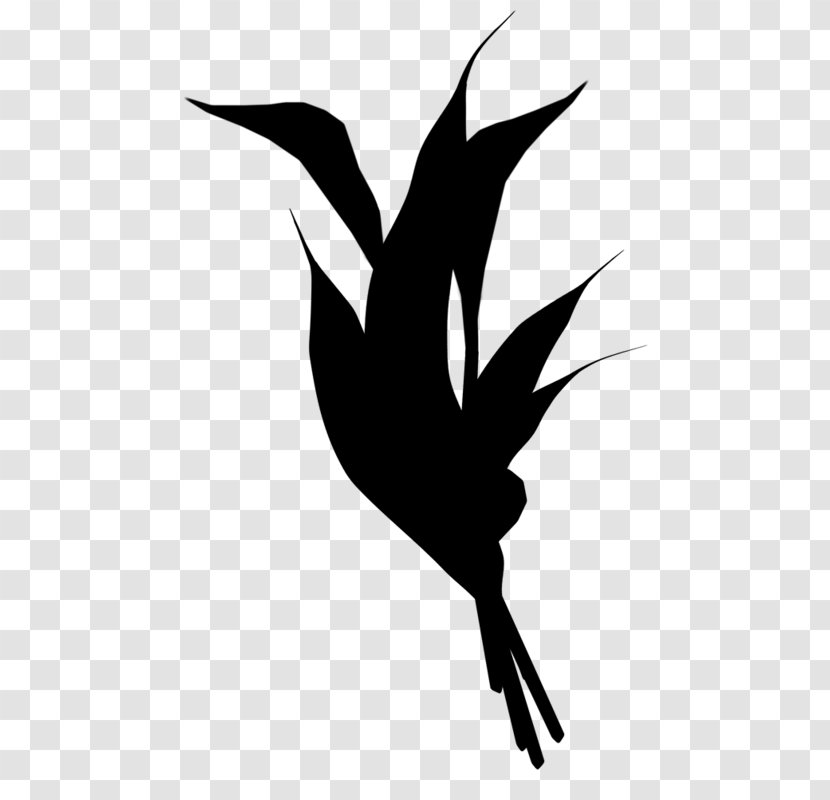 Beak Clip Art Illustration Character Silhouette - Black M - Logo Transparent PNG