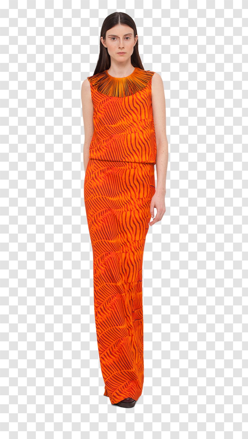Wool - Orange - Tiger 1 Tunisia Colors Transparent PNG