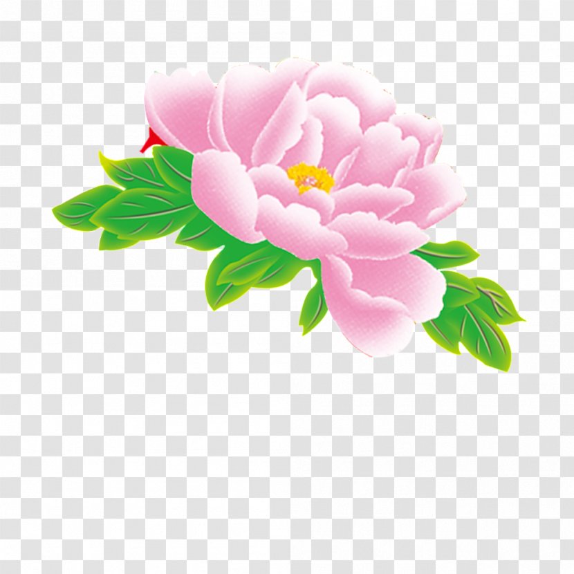 Peony Image Flower Drawing - Plant - Hand Transparent PNG