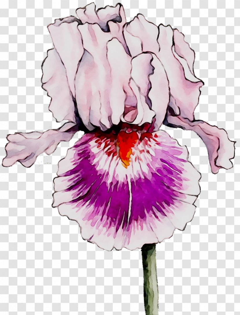 /m/02csf Drawing Plant Stem Cut Flowers Illustration - Watercolor Paint - Petal Transparent PNG