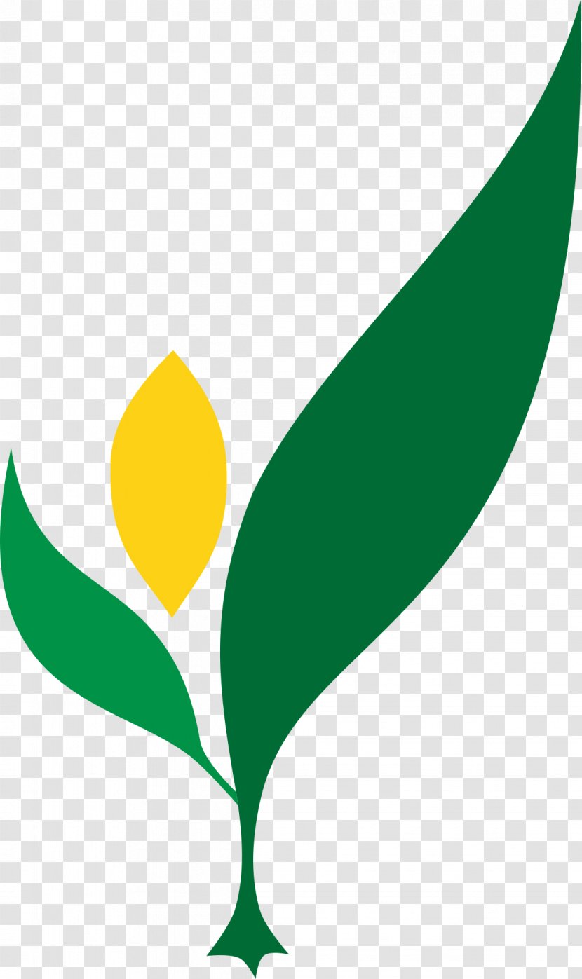 Philippines Bureau Of Plant Industry Department Agriculture - Clipart Crop Transparent PNG