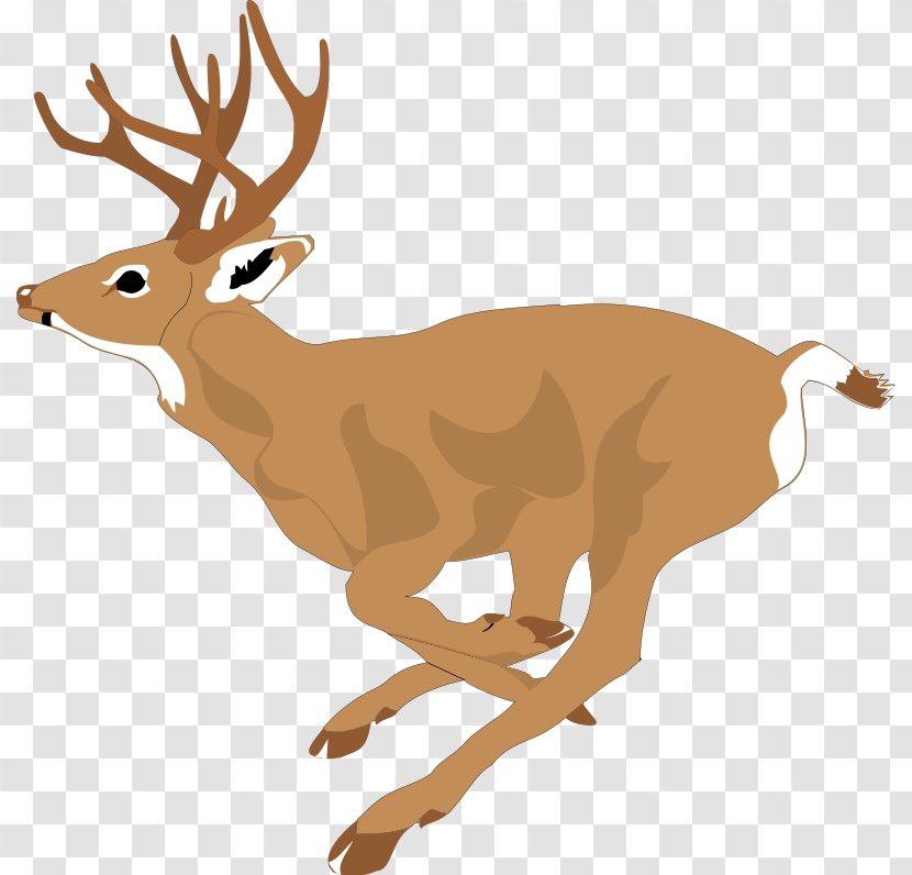White-tailed Deer Running Clip Art - Antler - Free Pictures Transparent PNG