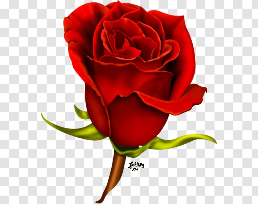 Rose Flower Clip Art - Airbrush - Wedding Cartoon Psd Transparent PNG