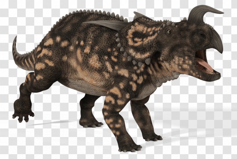 Einiosaurus Brachyceratops Anchiceratops Kosmoceratops Dinosaur - Extinction Transparent PNG