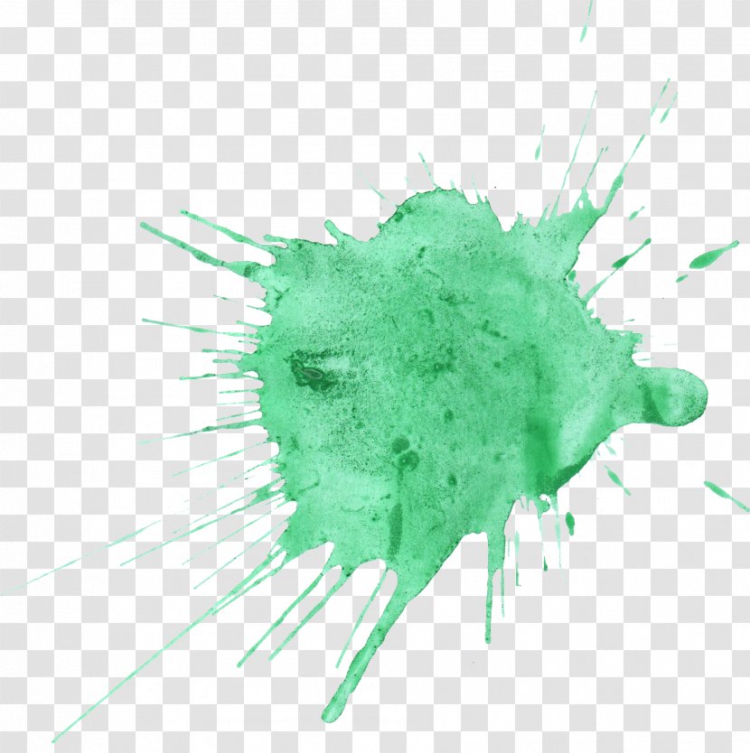 Watercolor Painting Green - Paint - Color Splash Transparent PNG