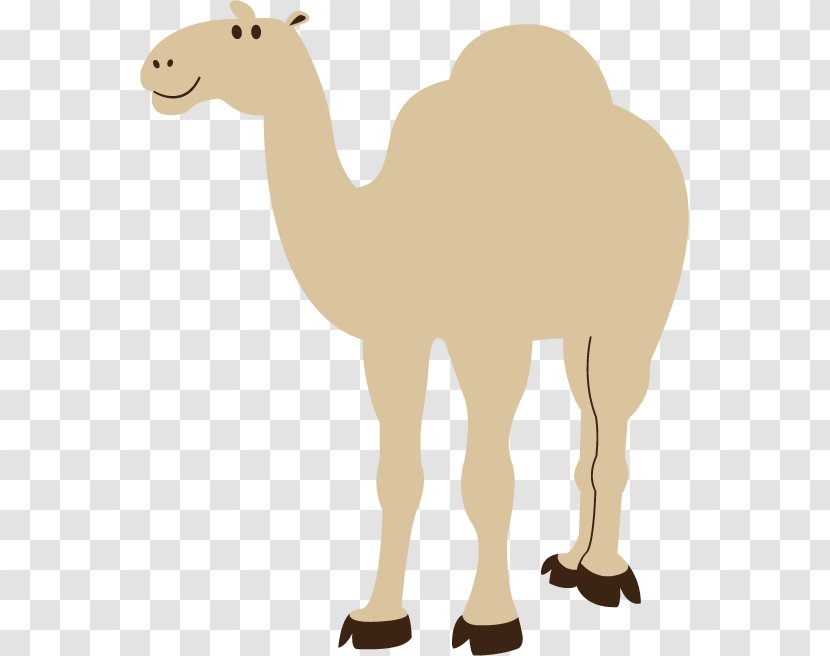 Clip Art Bactrian Camel Dromedary Image Free Content - Arabian - Logo Transparent PNG