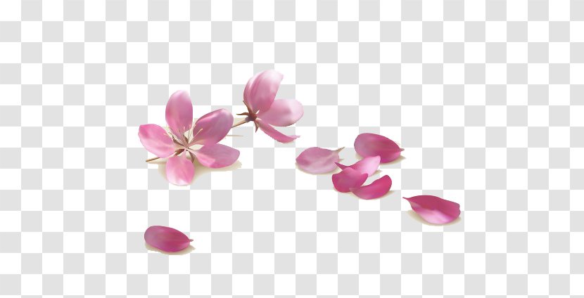 Pink Flowers Royalty-free Stock Photography - Flower - Spring Peach Transparent PNG