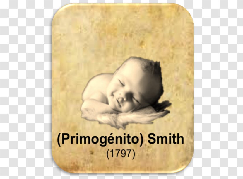 Sleeping Beauties: Newborns In Dreamland Snout Infant Riba Smith Costa Del Este Font - Joseph Transparent PNG
