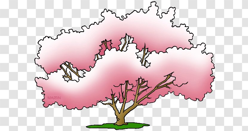 Pink M Flowering Plant RTV Clip Art - Woody - Magnolia Flower Branches Transparent PNG