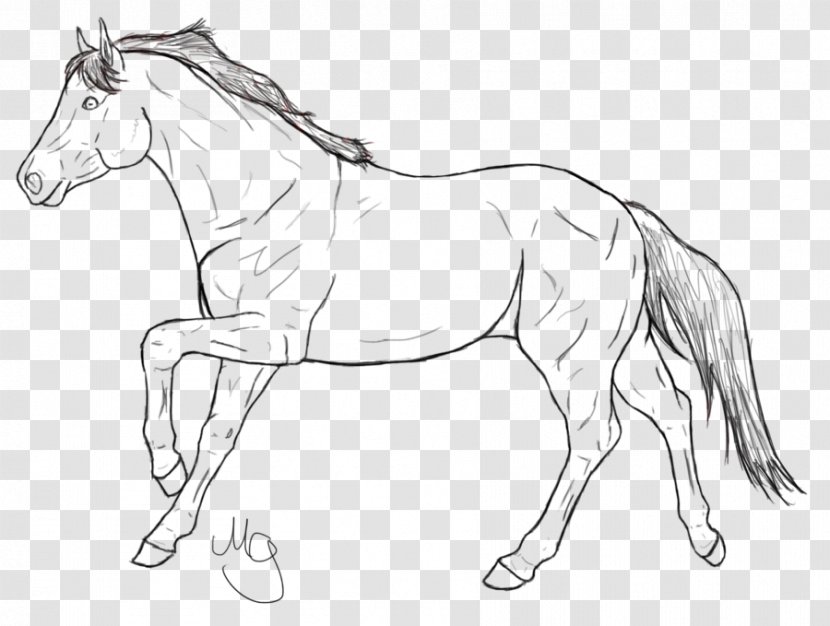 Line Art Mane Mustang Pony Stallion - Horse Transparent PNG