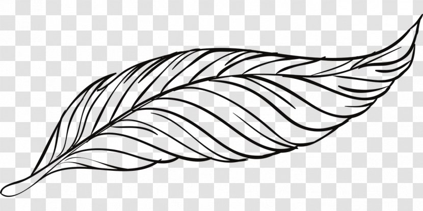 Bird Goose Feather - Monochrome - Beautiful Peacock Artwork Transparent PNG