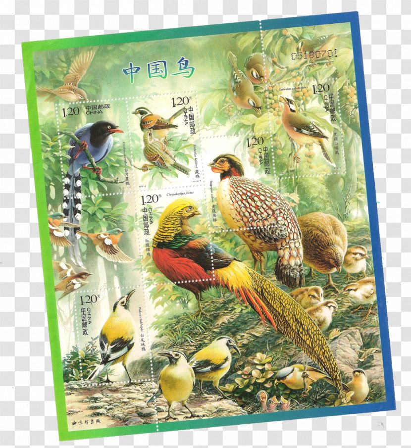 China Bird Postage Stamps Miniature Sheet Holiday Stamp Transparent PNG