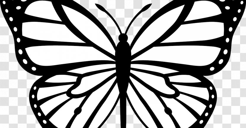 Monarch Butterfly Drawing - Plant - Wing Pollinator Transparent PNG