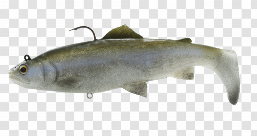 Plug Sardine Swimbait Fishing Baits & Lures Rainbow Trout Transparent PNG