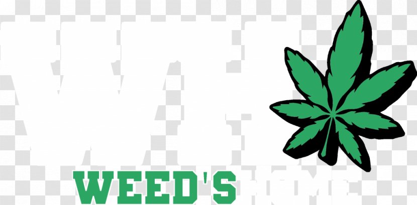 Advertising Medical Cannabis Media Leaf - Patient Transparent PNG