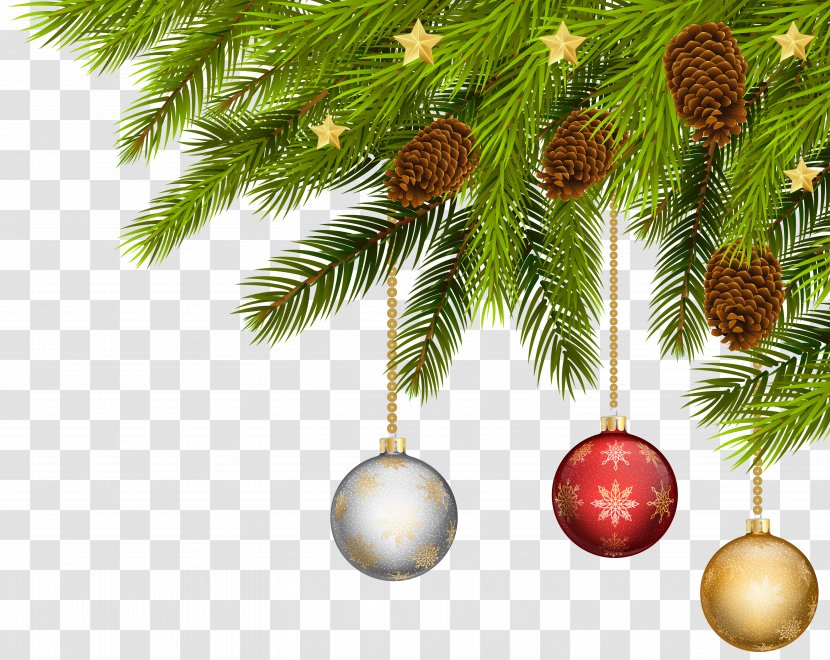 Clip Art Image Christmas Day Openclipart - Branch - Evergreen Transparent PNG