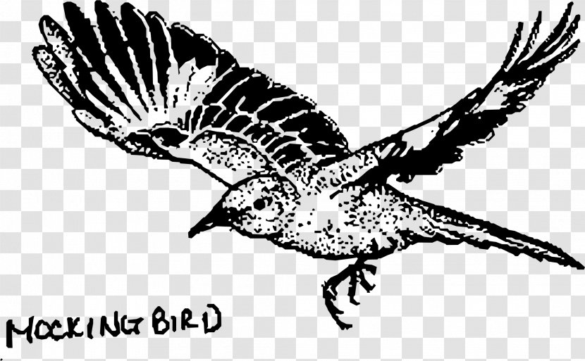 To Kill A Mockingbird Drawing Line Art Clip - Palm Sunday Transparent PNG