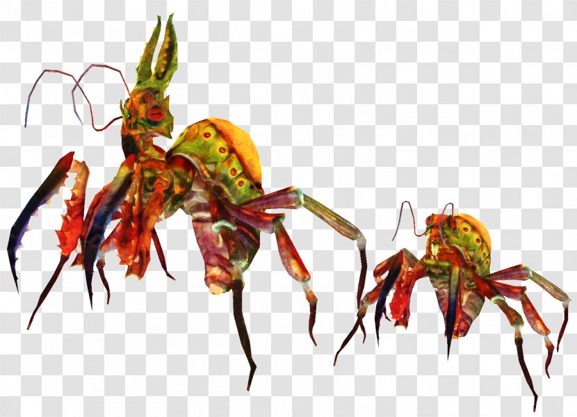 Plants Background - Crayfish Plant Transparent PNG