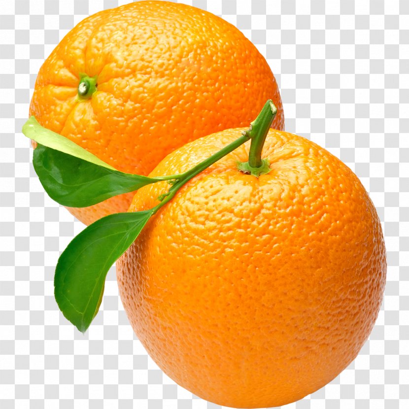 Orange Juice Clip Art - Citron - Grapefruit Transparent PNG