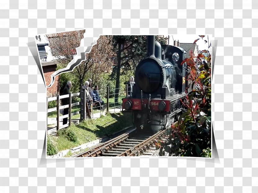 Train Rail Transport German Steam Locomotive Museum - Tree Transparent PNG