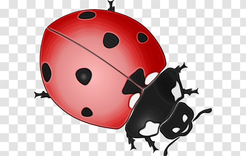 Ladybug - Insect - Helmet Beetle Transparent PNG