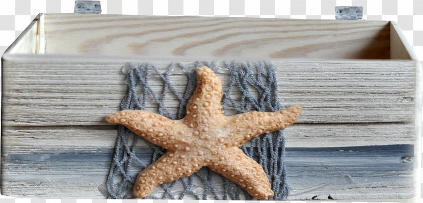 Starfish Wood Fishing Net - Material - Wooden Transparent PNG