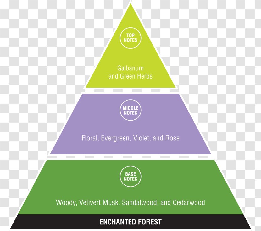 Diagram Chart Infographic Management - Business - Industry Transparent PNG