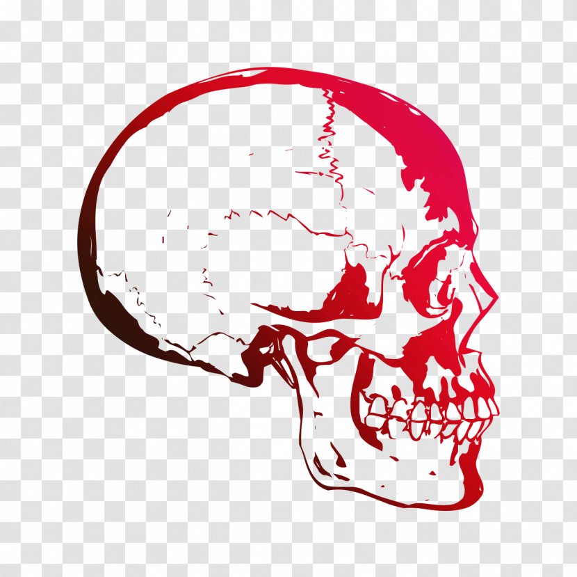 Skull Human Tiger Brain Anatomy - Tree - Frame Transparent PNG