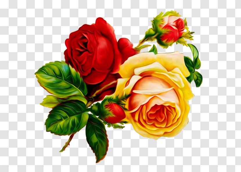 Vintage Roses: Beautiful Varieties For Home And Garden Floral Design Flower Clip Art - Rose Transparent PNG