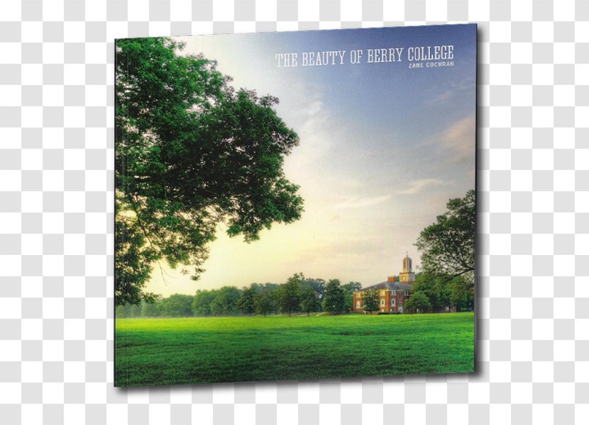 Berry College Nature Desktop Wallpaper Energy Lawn - Meadow Transparent PNG