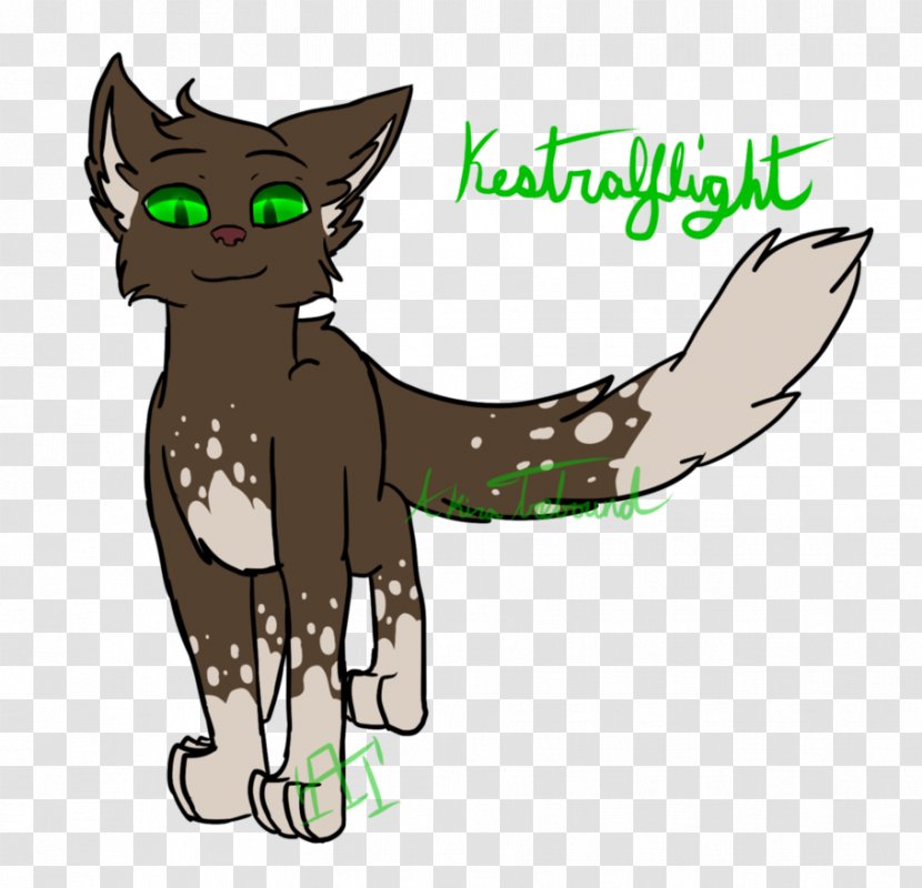 Whiskers Kitten Cat Warriors Kestrelflight - Art Transparent PNG