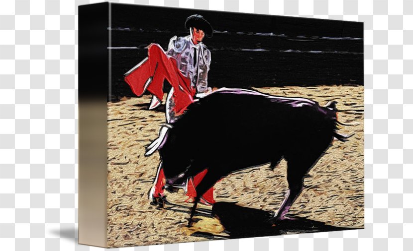 Bullfighting Ox Bullfighter Jeffrey Horn - Cattle Like Mammal - Bull Transparent PNG