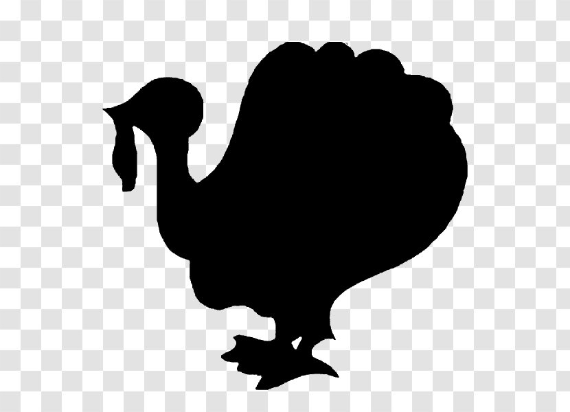 Black Friday Thanksgiving Turkey Jack's Tap Silhouette - Water Bird Transparent PNG