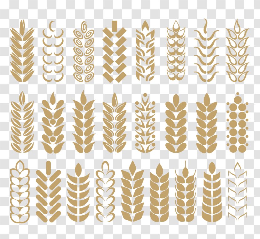 Common Wheat Wheatgrass Ear Download - Search Engine - Golden Transparent PNG
