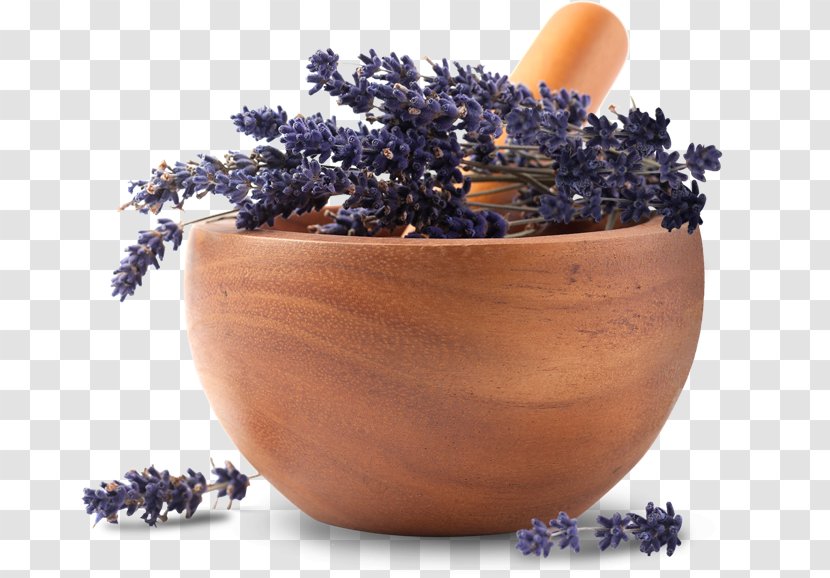 Essential Oil Lavender Herb Apothecary - Superfood - In A Bowl Transparent PNG